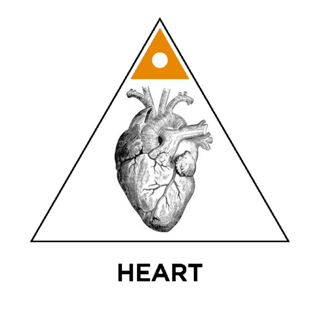 heart