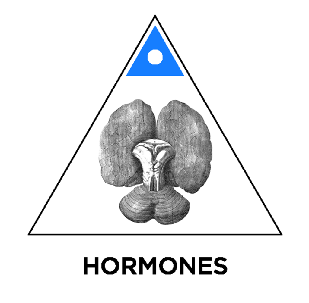 hormones